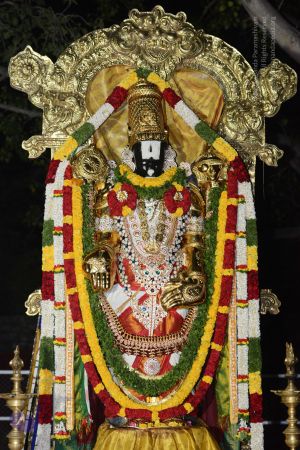 20170108 Photo 1053 1OH6gNzdimgB4zJOhjog7Td5pTiOJ13PZ.JPG