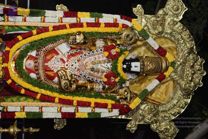 20170108 Photo 1297 10b5WfqImsWW9sbSTCAh5GMHFqfImjm1I.JPG