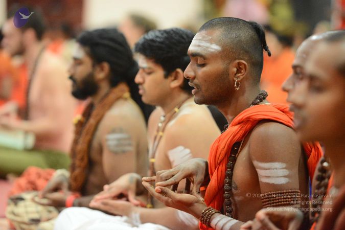 20170108 Photo 1333 1FmRBAa-eXTLmgUlqpZojy1zPVvIGBUzz.JPG