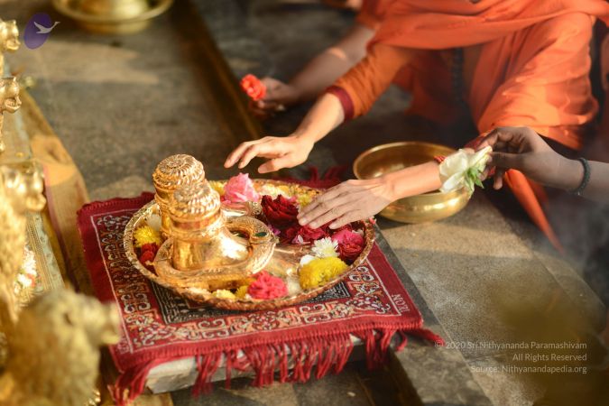 20170112 Photo 1091 1koDeStx3i1sk LtrLMZctYU9VoGNXL47.JPG