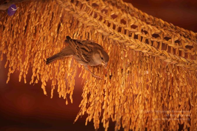 20170118 Photo 1051 1UIl0sS-3dObQ9gwAnVc4M8p-5PHStNy9.JPG