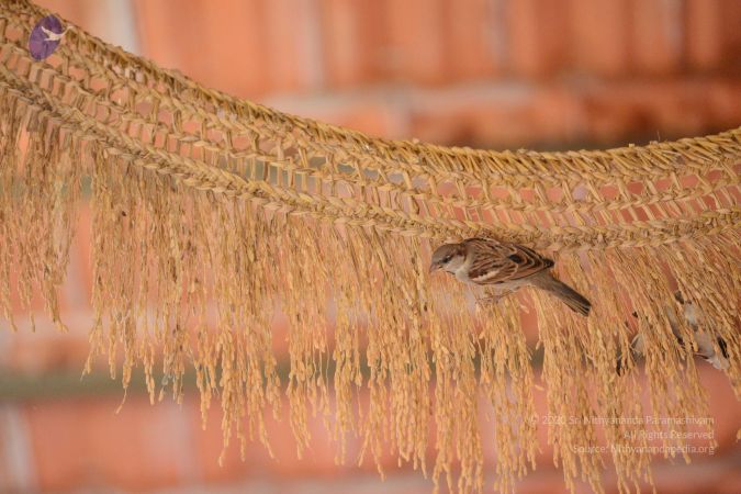 20170121 Photo 1039 1mYBtbjQjshDSIQ9M7E3K9voapYseHP5t.JPG