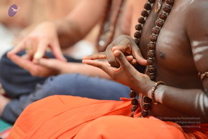 20170122 Photo 1027 1FDRQj1vETPQUBPp2uf2vgt10Uet7t3a .JPG