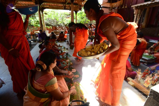 20170123 Photo 1081 1hwGiDOhlzeIzlDHlDxGx7h-XgxGtbdJJ.JPG