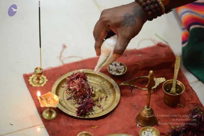 20170126 Photo 1006 1IjhW6vC5bZ-RL5HCIT9F6FbvHUfyHJCD.JPG