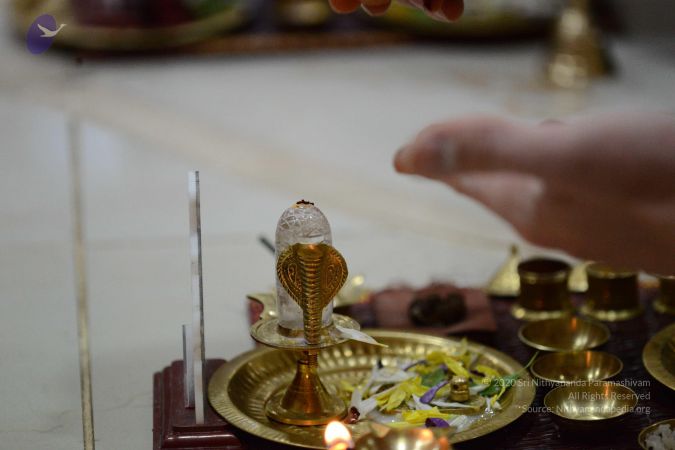 20170201 Photo 1083 1-ND4Cu5hJ-mOw1bXrkAb7wZ9lhqoW7OJ.JPG