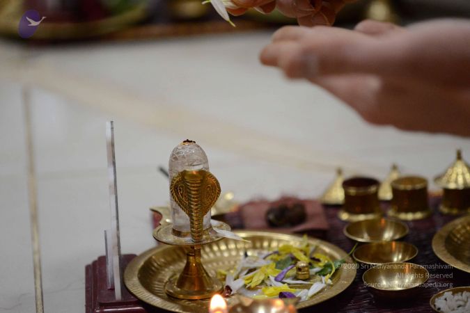 20170201 Photo 1089 1wUzwt-lL4NzOHzgpjNXgBYMVD aW0HKX.JPG