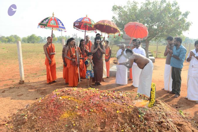 20170202 Photo 1107 1doSkJgDbjoZJjlBxTuTMTdZHwLHbEvHu.JPG