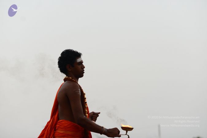 20170202 Photo 1148 1DL lzhD0c73jisaOFhLyTlqN33q7X-nd.JPG