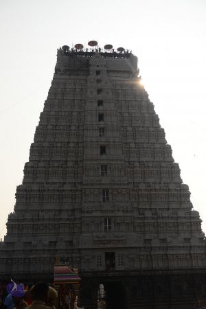 20170206 Photo 1005 1gHqSyMmTWlEFVAJPbvPPEIA1CI-EwHbJ.JPG