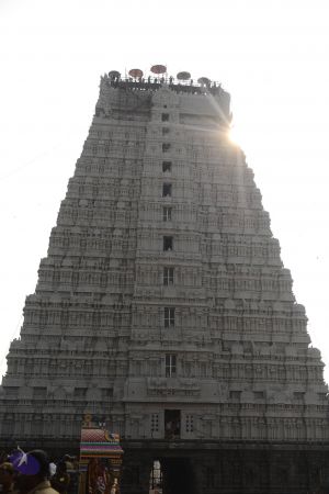 20170206 Photo 1010 1wwK MI-bLZj0MlivXXc i4boaqMV1jB .JPG