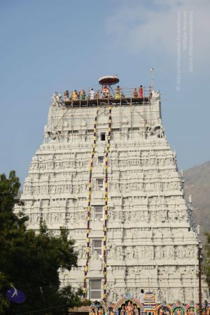 20170206 Photo 1016 1J6ePC6bMH 1sqC ICbLmuG9CQyxxxD2A.JPG