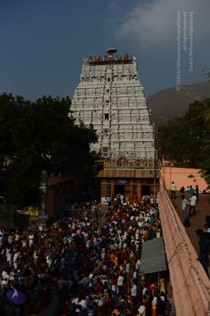 20170206 Photo 1020 1iCbl1GTJ-kkWJdOZPnXtbqQBqFjSauXM.JPG