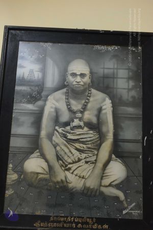 20170206 Photo 1051 1D-DhVJxgSc65du-0sV8fruIdSrRIL844.JPG