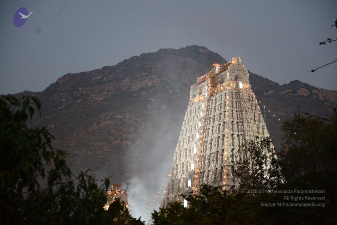 20170206 Photo 1076 1kmr4LrMWZU3QkLPqn84fc MgakiAjdFg.JPG