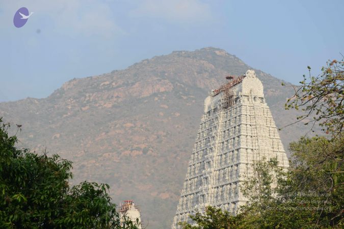 20170206 Photo 1084 1YEqyQUNcb-7PJCcWgvXUwv1PE-3OqUIT.JPG