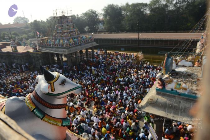 20170206 Photo 1097 1Wd23f7aI4vGxYhfWHGgvOI8PjPFvW5m1.JPG