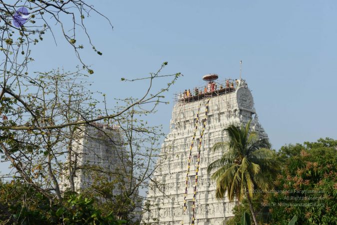 20170206 Photo 1121 14t-37-dRHAn5rp MVNUpNp rPv 0UPaV.JPG