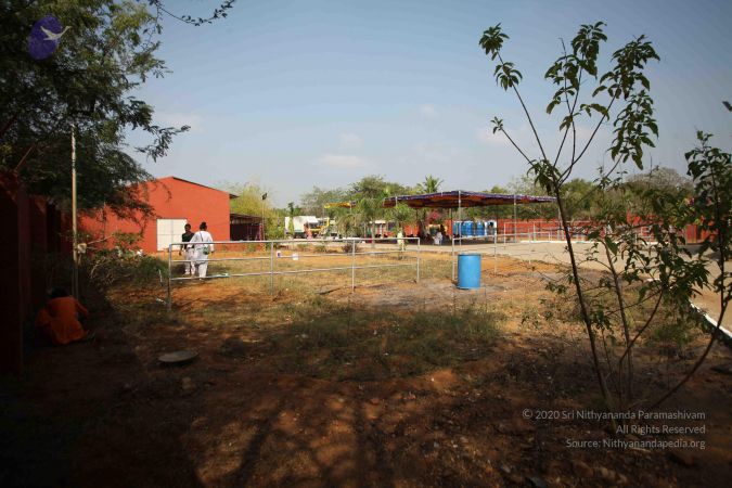 20170206 Photo 1286 1FiZnYSgrvB t2X Oa0hBYNLGWqDNozAS.JPG