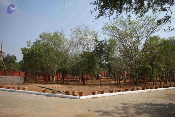 20170206 Photo 1287 1m5lVTRfEgbCWAsf4Qb5gtPto9qClat7i.JPG