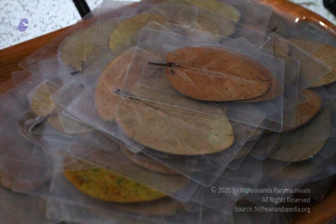 20170207 Photo 111 1KZa62OIlZqxWJncfDBqD876nOSU jcra.jpg