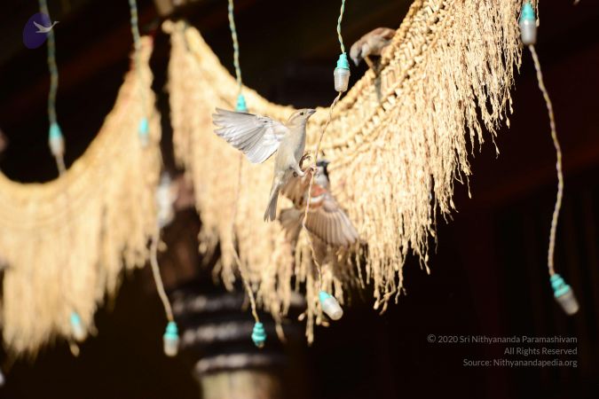 20170209 Photo 1291 1w-nkJtdkarwi3tin0n3a1n-eZbCVOcPT.JPG