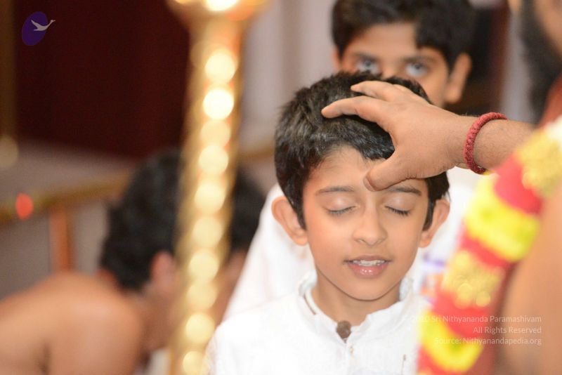 File:20170219 Photo 1740 1b-RQGa59oz4KE6lZ3CN0QcHzGtZlXVEu.JPG