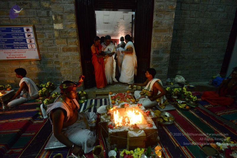 File:20170222 Photo 1140 1fpiW79x0C3Rz017Wa75gEJrKk3d52i4w.JPG