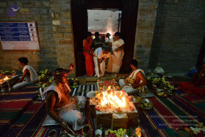 File:20170222 Photo 1143 18OlFkoyBUL8OVoj0qfhTTeENfY9TNI9j.JPG