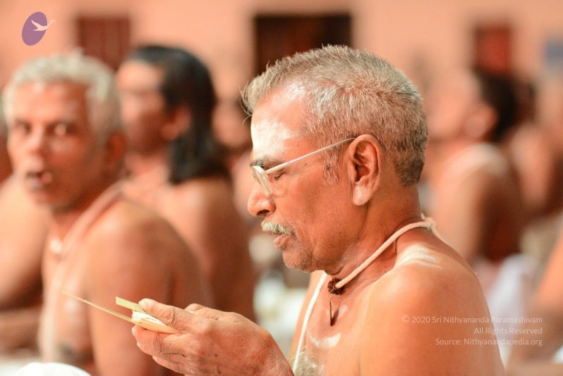 File:20170222 Photo 1204 1K6hmIo-5dEirnvxw6VicQxZJfon8fkBt.JPG