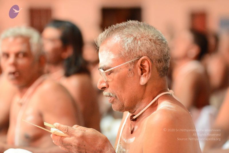 File:20170222 Photo 1205 1 GZ5UwMJC4qrPiIURGGZOo1kMCrnGYoh.JPG