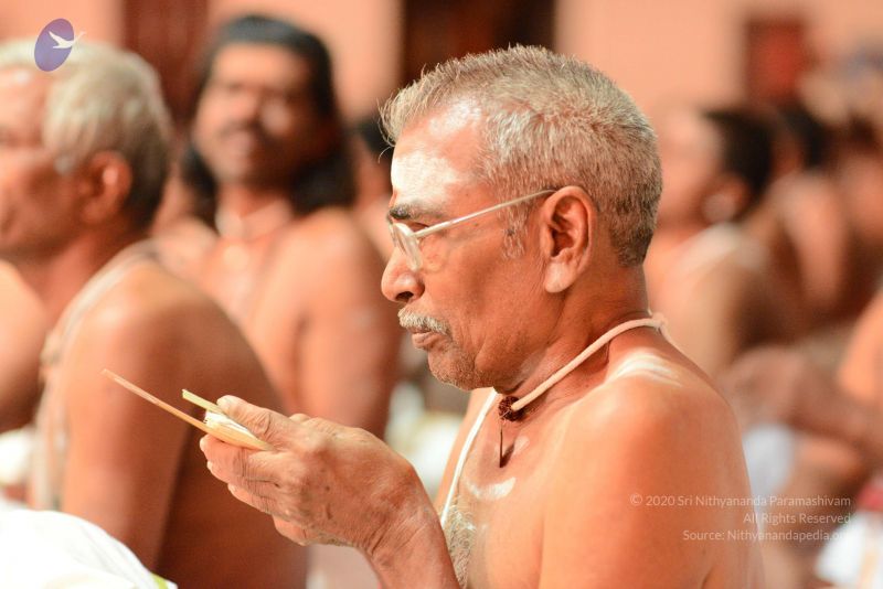 File:20170222 Photo 1208 1ImyrO466Ft4 wkD7-YXC3JhX97kXbJ84.JPG