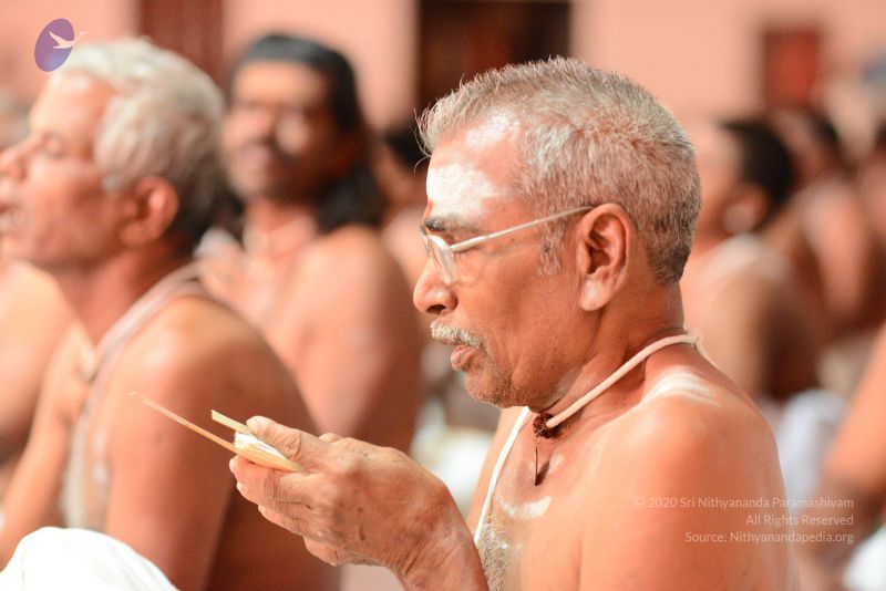 File:20170222 Photo 1209 14txqe7bbZ91S8 Z2OAzAt64KiXIxHXmz.JPG