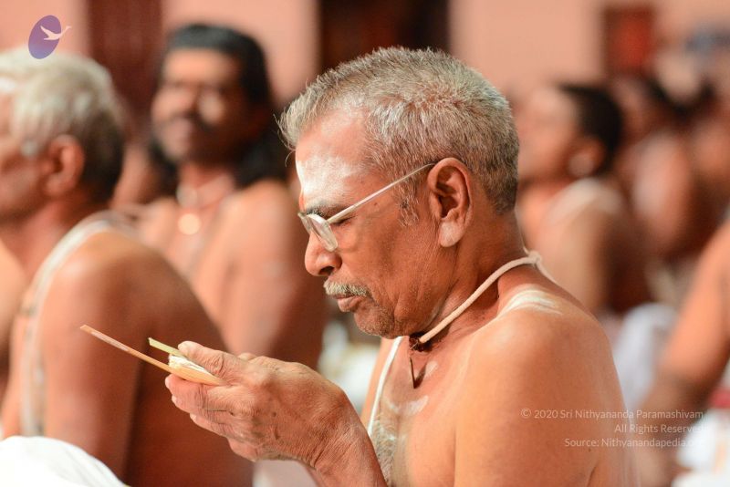 File:20170222 Photo 1210 1rtiPcgbWMPmq7zj48zgPeYE0GYVeQSdo.JPG