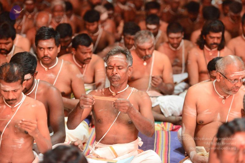 File:20170222 Photo 1298 1W8rl LW0xOiLfTlYC5TpuZH2PV0-sEZD.JPG