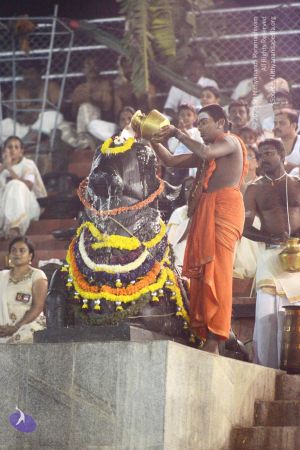 20170224 Photo 1053 1r2VLejrGCVqyIDBRmDJ9SlkPm723eYhE.JPG