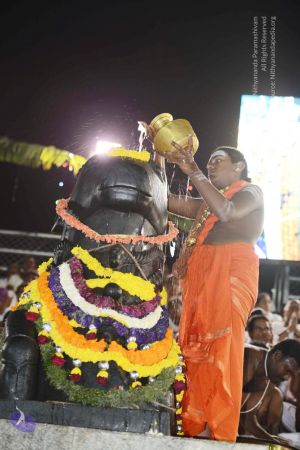 20170224 Photo 1056 13x44OBBLuwFRihjAVHbj4UrsJB930Kbt.JPG