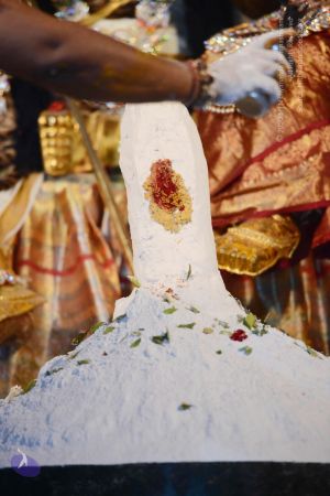 20170224 Photo 1178 1bAkAeCR36aXBoZIpbIgjfS2ROPKKrgyR.JPG