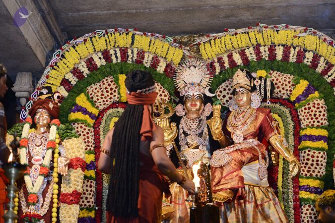 20170224 Photo 2346 1MMcxU5QB4JoWFscs-WyJzLpLoVvHLil5.JPG