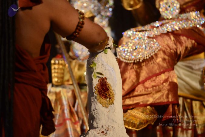 20170224 Photo 2409 1iZIFH zbJ8RlJxsLa0GlBNfVfQ YvgX1.JPG