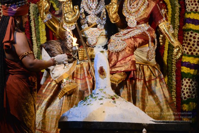 20170224 Photo 2421 1PTVZs3LVHHGGRvTvvNHROlvxV8cjBe5H.JPG