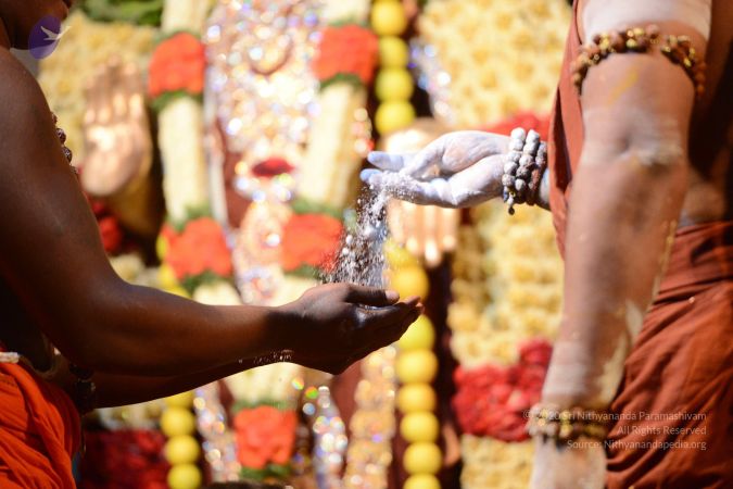 20170224 Photo 2457 1iSqfyhBFvvcQK5-Tw9O6695kEF1ZeNee.JPG