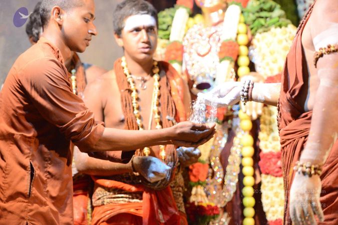 20170224 Photo 2461 1zNGPpSywosmYWHKIolQqIqh6YSCv7G5M.JPG