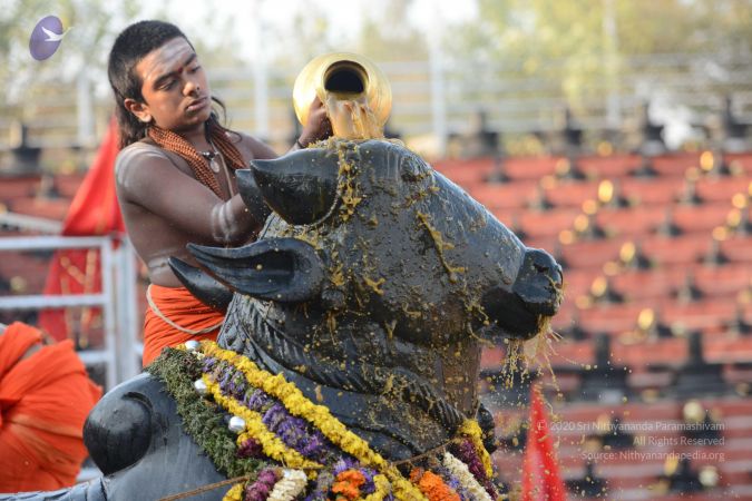 20170226 Photo 1013 1D5ZhV8Y13oVxZZI-bgILV5E6tpspETK3.JPG