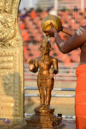 20170226 Photo 1013 1 1906mSP9brmfTzaEDlZEhSVpgBmoOK8.JPG