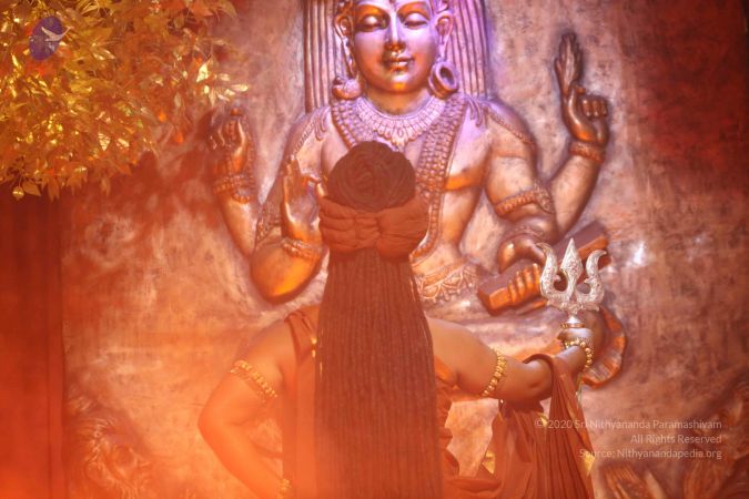 20170226 Photo 1250 1d8obtVt UC0nzhx2P9cwS3Zrkmr39WOq.JPG