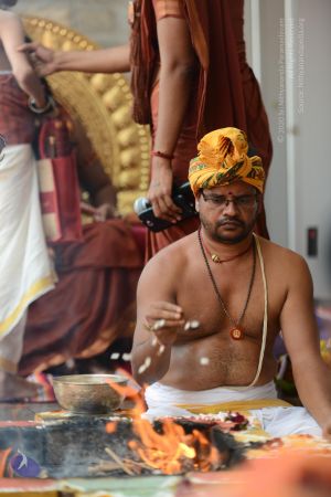 20170316 Photo 1078 1NVu-ne2iX5X8GbjA2FpdVFkBw0EBugKY.JPG