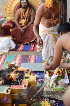 20170316 Photo 1103 1h rjhRDl5smWFVFj0hMjlGC0bj-ECeUu.JPG