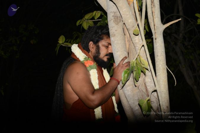 20170319 Photo 1023 1bTEVSvlPDMm1lAFh7Ao5o-IxVT-tHyYY.JPG