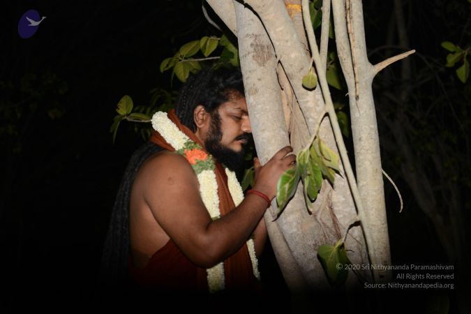 20170319 Photo 1024 1fdTVFvERCV8O0y5RrQVYKWiEIND42U6 .JPG